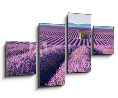 Obraz 4D tydln - 100 x 60 cm F_IS195185269 - Lavender fields in Plateau de Valensole with a stone house in Summer. Alpes de Haute Provence, PACA Region, France