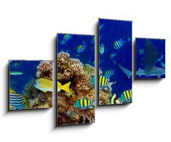 Obraz 4D tydln - 100 x 60 cm F_IS196736176 - colorful wide underwater coral reef panorama banner background with many fishes turtle and marine life / Unterwasser Korallenriff breit Hintergrund