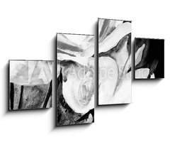 Obraz 4D čtyřdílný - 100 x 60 cm F_IS197308949 - lbild: Weie Rosen