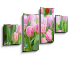 Obraz 4D tydln - 100 x 60 cm F_IS197459924 - Tulip Flower in the Garden.,Nature background.