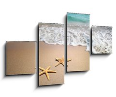 Obraz 4D tydln - 100 x 60 cm F_IS19804151 - two starfish on a beach