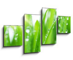 Obraz   Fresh Green Grass, 100 x 60 cm