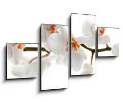 Obraz 4D tydln - 100 x 60 cm F_IS201049079 - Orchid branch with flowers