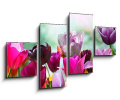 Obraz 4D tydln - 100 x 60 cm F_IS20169360 - Beautiful spring flowers, tulips