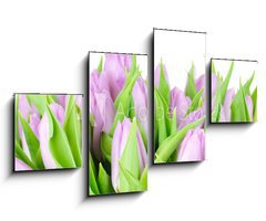 Obraz 4D tydln - 100 x 60 cm F_IS20187394 - Violet tulips isolated on white background