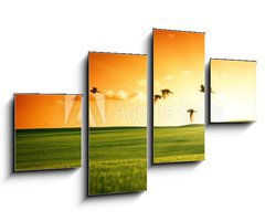 Obraz 4D tydln - 100 x 60 cm F_IS20504008 - field of grass and flying birds