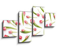 Obraz 4D tydln - 100 x 60 cm F_IS205206437 - Pink tulip pattern on the white bacjkground.