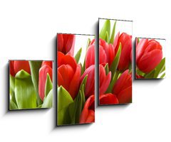 Obraz 4D tydln - 100 x 60 cm F_IS21477013 - Tulips from Holland - Tulipny z Holandska