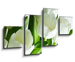 Obraz 4D tydln - 100 x 60 cm F_IS21581948 - White Tulips - Bl tulipny