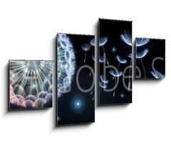 Obraz 4D tydln - 100 x 60 cm F_IS220799750 - Pusteblumen und Glhwrmchen
