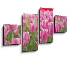 Obraz 4D tydln - 100 x 60 cm F_IS22107035 -        