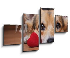 Obraz 4D tydln - 100 x 60 cm F_IS222488187 - A dog with a red heart. Valentine`s Day.