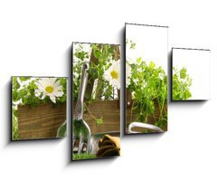 Obraz 4D tydln - 100 x 60 cm F_IS22249018 - Fresh herbs in wooden box on grass