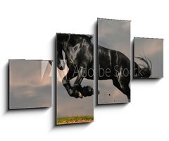 Obraz 4D tydln - 100 x 60 cm F_IS22600957 - black friesian stallion gallop in sunset