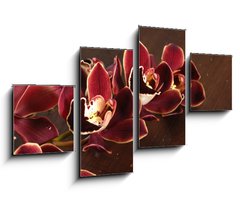 Obraz   Lay down tiger s violet orchids on board, 100 x 60 cm
