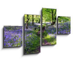 Obraz 4D tydln - 100 x 60 cm F_IS23130044 - Blue bells forest