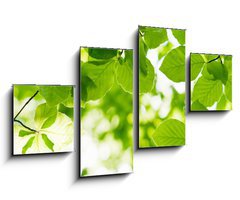 Obraz 4D tydln - 100 x 60 cm F_IS23178335 - beech