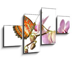 Obraz 4D tydln - 100 x 60 cm F_IS23343836 - Schmetterling 37