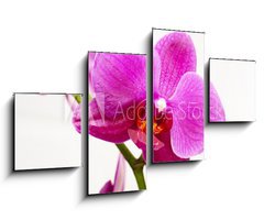Obraz 4D tydln - 100 x 60 cm F_IS23400240 - orchid