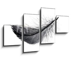 Obraz 4D tydln - 100 x 60 cm F_IS234006556 - Single black floating feather on white background.