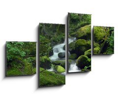 Obraz 4D tydln - 100 x 60 cm F_IS23470543 - Mossy waterfall