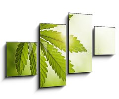 Obraz 4D tydln - 100 x 60 cm F_IS23639957 - Cannabis leaf - List konop