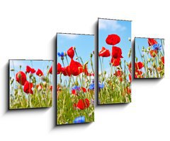 Obraz 4D tydln - 100 x 60 cm F_IS23892444 - blumenwiese