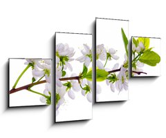 Obraz 4D tydln - 100 x 60 cm F_IS24127573 - white cherry blossom close-up