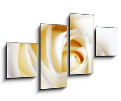 Obraz   A close up photo of a white rose, 100 x 60 cm