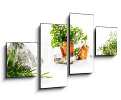 Obraz 4D tydln - 100 x 60 cm F_IS247543142 - Marjoram, oregano, rosemary garden herbs set