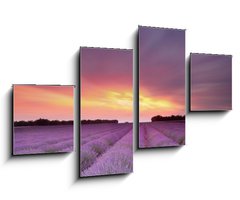 Obraz 4D tydln - 100 x 60 cm F_IS24937736 - Lavender sunset - Levandule zpadu slunce