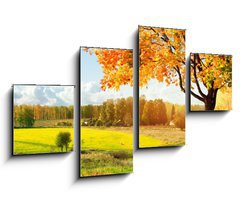 Obraz   Autumn at the morning park, 100 x 60 cm