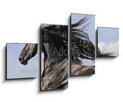 Obraz 4D tydln - 100 x 60 cm F_IS25113841 - Portrait of moving friesian black horse