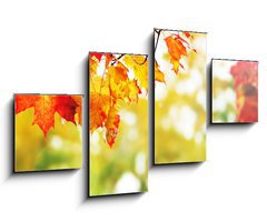 Obraz 4D tydln - 100 x 60 cm F_IS25605825 - beautiful colorful autumn  leaves in the park
