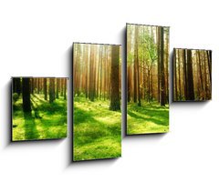 Obraz 4D tydln - 100 x 60 cm F_IS25769239 - Misty Old Forest - Mlnsk star les