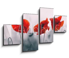 Obraz 4D tydln - 100 x 60 cm F_IS258336158 - Red poppy flowers isolated on gray background.