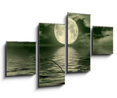 Obraz 4D tydln - 100 x 60 cm F_IS26112274 - Full moon image with water