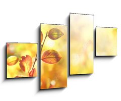 Obraz 4D tydln - 100 x 60 cm F_IS264386223 - Beautiful colorful autumn natural background panorama. Orange autumn foliage on blurred gold background glows in sunlight outdoors in nature. Template with copy space.