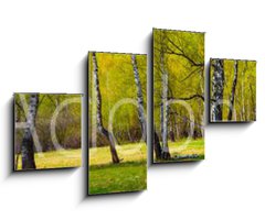 Obraz 4D tydln - 100 x 60 cm F_IS267520361 - Birch grove on a sunny day.