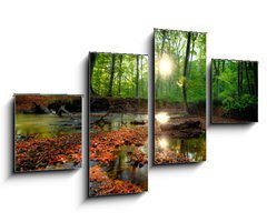 Obraz 4D tydln - 100 x 60 cm F_IS26798105 - Autumn forrest