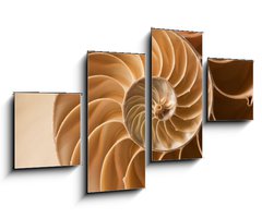 Obraz 4D tydln - 100 x 60 cm F_IS27136631 - close up nautilus shell pattern - zblzka nautilus shell vzor