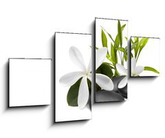 Obraz 4D tydln - 100 x 60 cm F_IS27276964 - Spa still life with white flowers