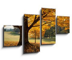 Obraz 4D tydln - 100 x 60 cm F_IS27306189 - Golden Fall Foliage Autumn Yellow Maple Tree on golf course