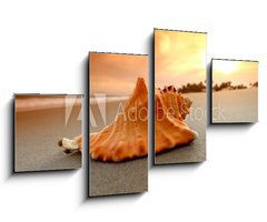 Obraz 4D tydln - 100 x 60 cm F_IS27383756 - shell