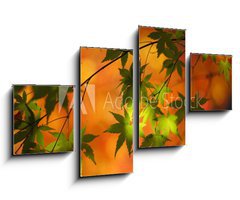Obraz 4D tydln - 100 x 60 cm F_IS28199408 -    (       )