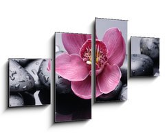 Obraz   Macro of red orchid on stone with water drops, 100 x 60 cm