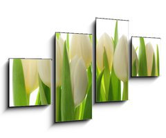 Obraz   Tulips, 100 x 60 cm