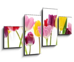 Obraz 4D tydln - 100 x 60 cm F_IS29490982 - Spring tulip flowers in a row