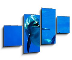 Obraz 4D tydln - 100 x 60 cm F_IS2962265 - delfn - dolphin