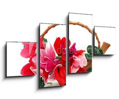 Obraz   Colourful cyclamen flowers in the basket, 100 x 60 cm